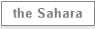 the Sahara