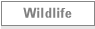 Wildlife