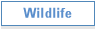 Wildlife